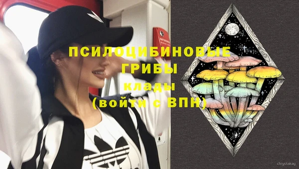 ALPHA PVP Бердск
