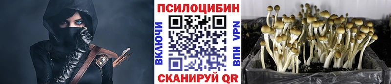Купить где  Лениногорск  Псилоцибиновые грибы мухоморы 